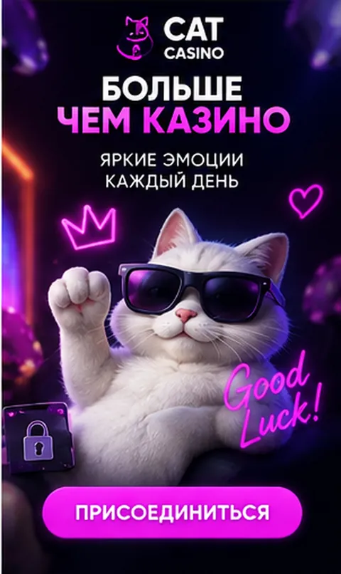 Live-казино Cat Casino: столы с живыми дилерами.
